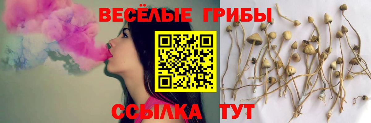 Галлюциногенные грибы Cubensis Оренбург
